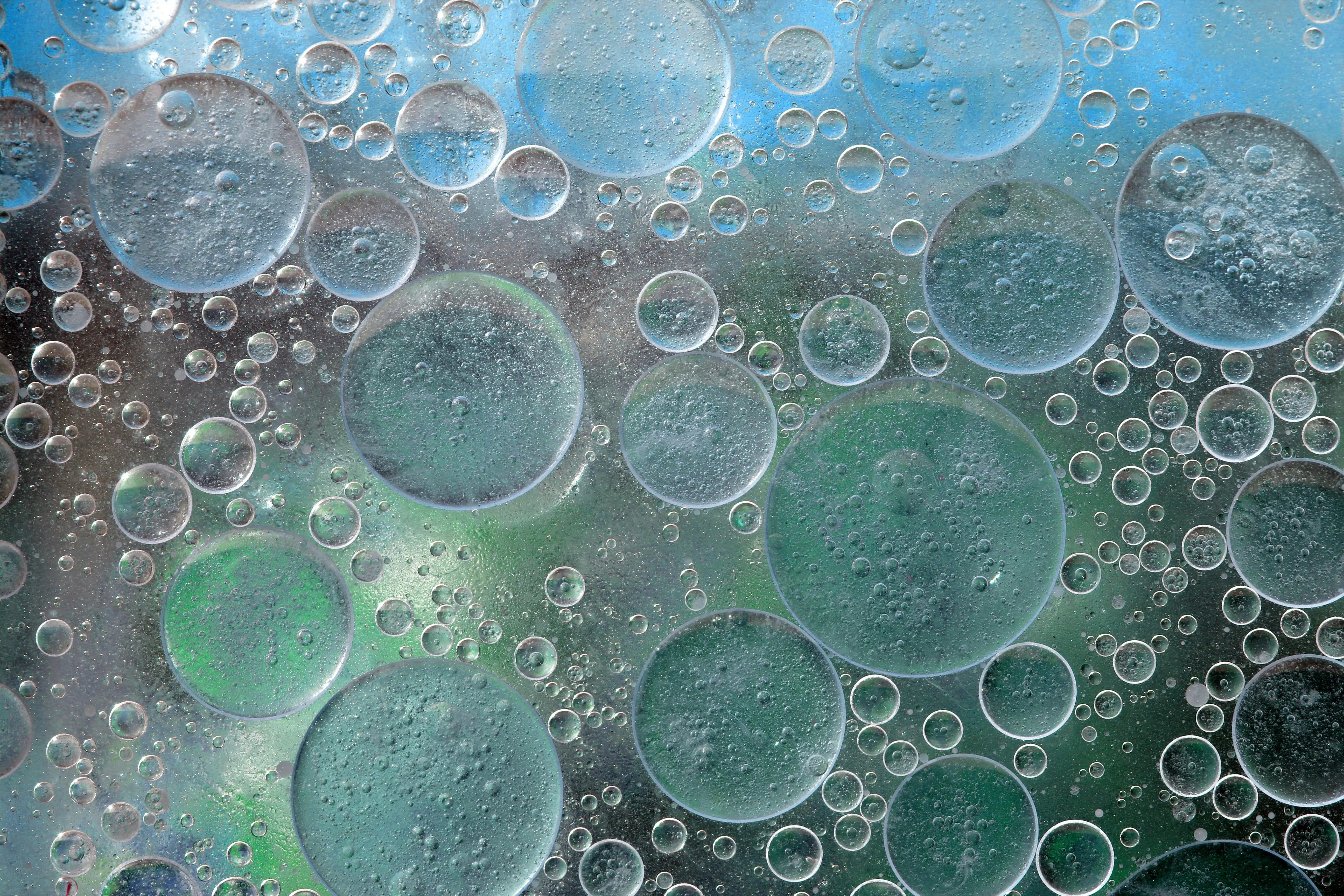 Bacteria Background